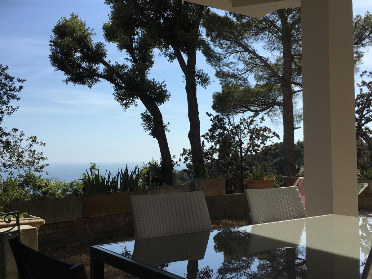 Villa Erika Montenero  Bagian luar foto