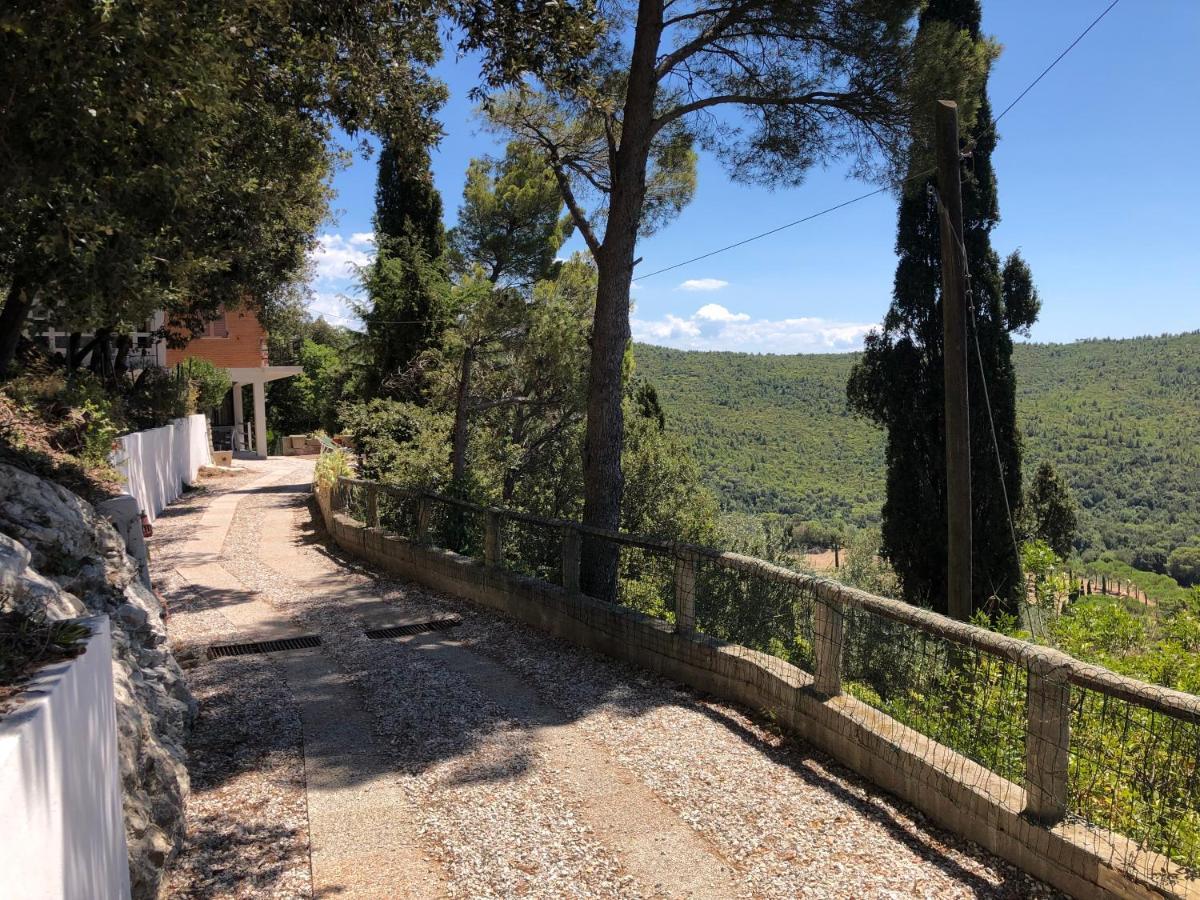 Villa Erika Montenero  Bagian luar foto