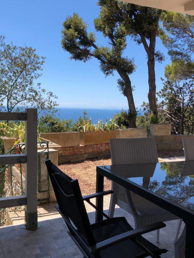 Villa Erika Montenero  Bagian luar foto